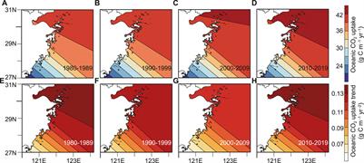 Simulated Variation Characteristics of Oceanic CO2 Uptake, Surface Temperature, and Acidification in Zhejiang Province, China